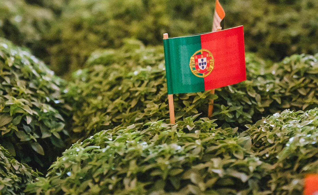 São João em Miragaia com tradição: decoração, majericos e festa